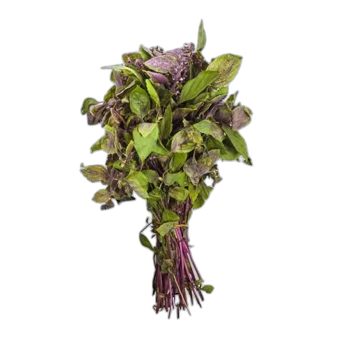 [rupro_00054] Albahaca Manojo