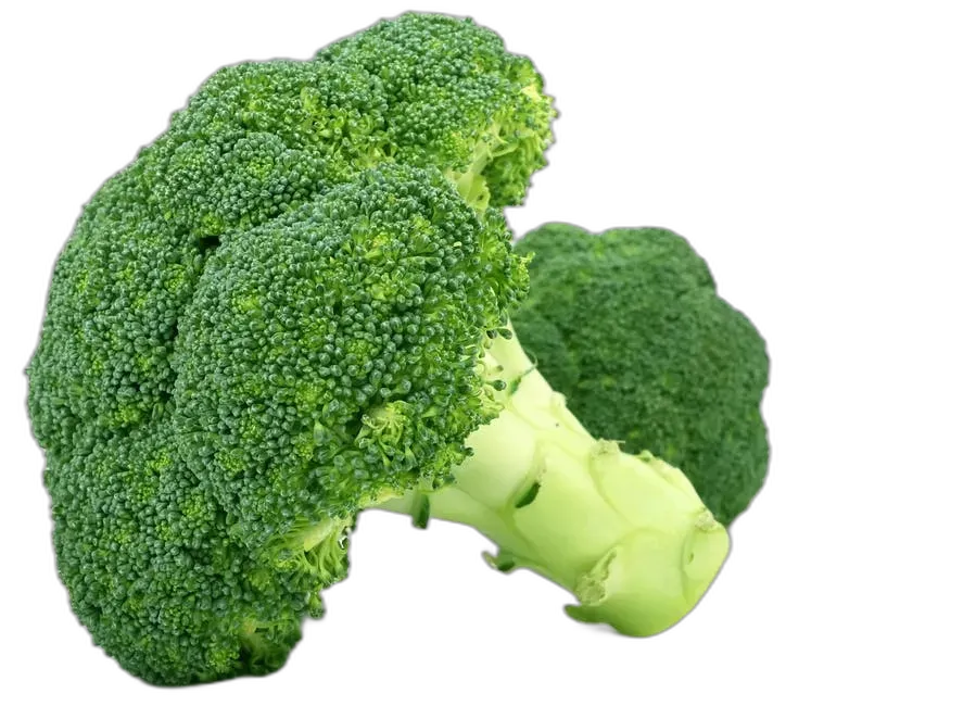 [rupro_00062] Brocoli Unidad