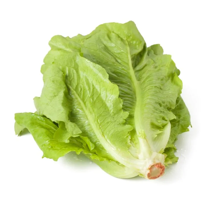 [rupro_00068] Lechuga Romana Unidad