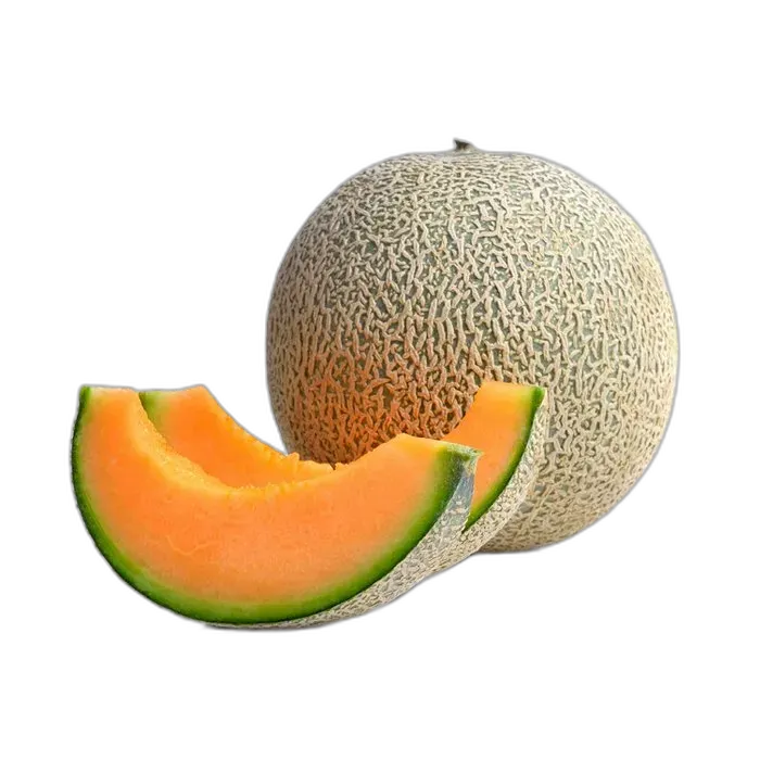 [rupro_00071] Melon
