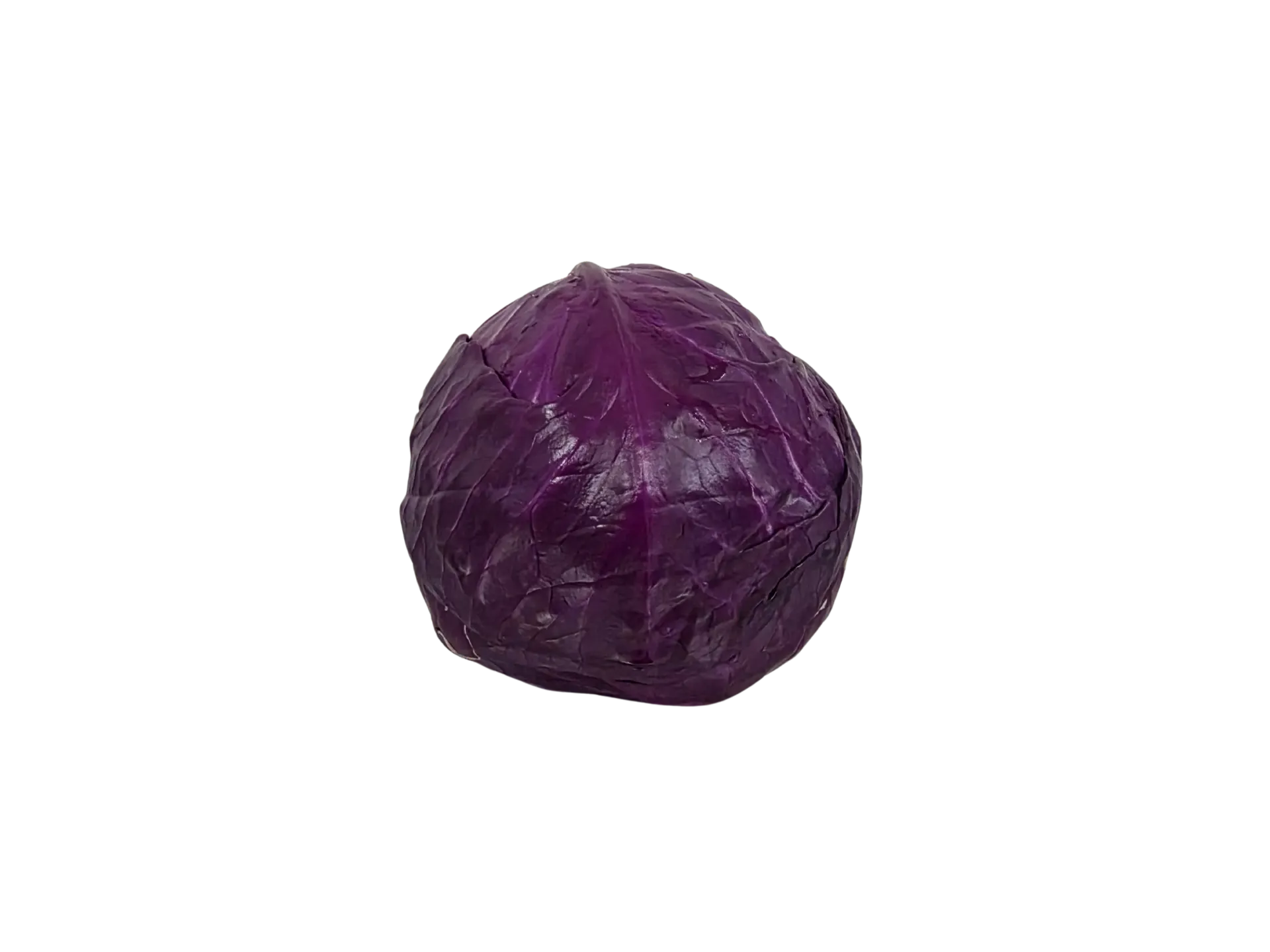 [rupro_00087] Repollo Morado