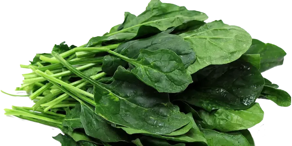 Espinaca lb.
